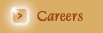 Careers
